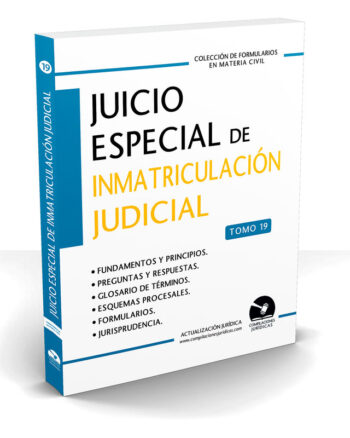 Juicio Especial De Inmatriculación Judicial (Tomo 19)